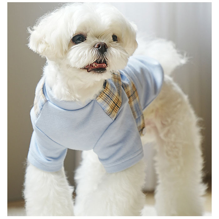 �ڥåȥ����� ���� �ɥå������� ����ѡ��� ���� ������ �� ���� Ķ������ ������ ǭ �ͥ� �ˤλ� ���λ� Ĺµ �ɴ� ���������� ���åȥ��� �����⤪�Ф��� �����奢�� �� �� �� ���襤�� ���磻�� ������� �������