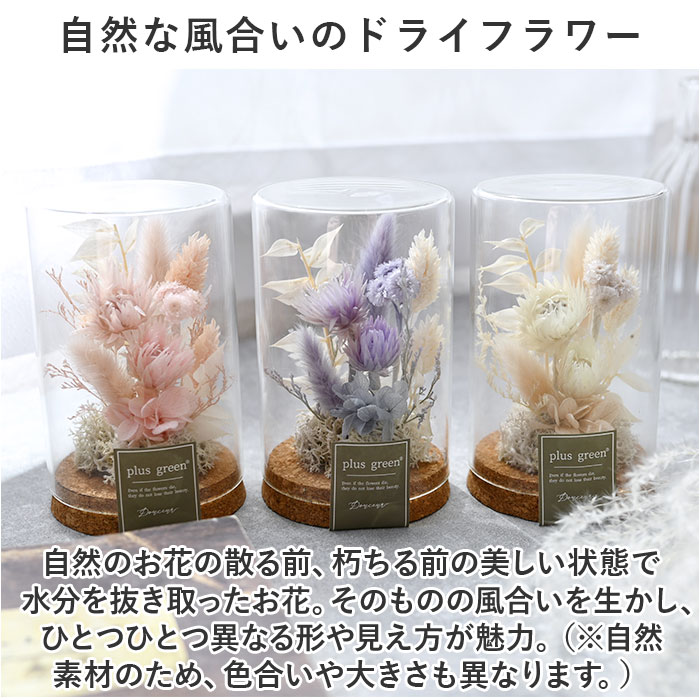 �ɥ饤�ե� ���饹 ���� �ե�����󥸥��� ���륯�ܥȥ� 75 �ܥȥ�ե� ���饹�ܥȥ� �ץꥶ���֥ɥե� �ե����ե� ���֥��� ��ʪ �֤�ʪ ���� �� ������� ���ե�