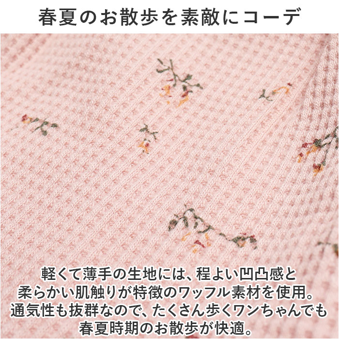 �ɥå������� ���� ���� ������ �ͤ� �ڥå��� �ڥåȥ����� �� ���� ���� ǭ�� ǭ���� ���襤�� ������� ������ �淿�� ���åȥ� �� �ͥ� ����å� �� �� �� �� ���Ӵ� µ�ʤ� ���ԡ��� �Ρ����꡼�� ���Ф��� ������ £��ʪ ���ե�