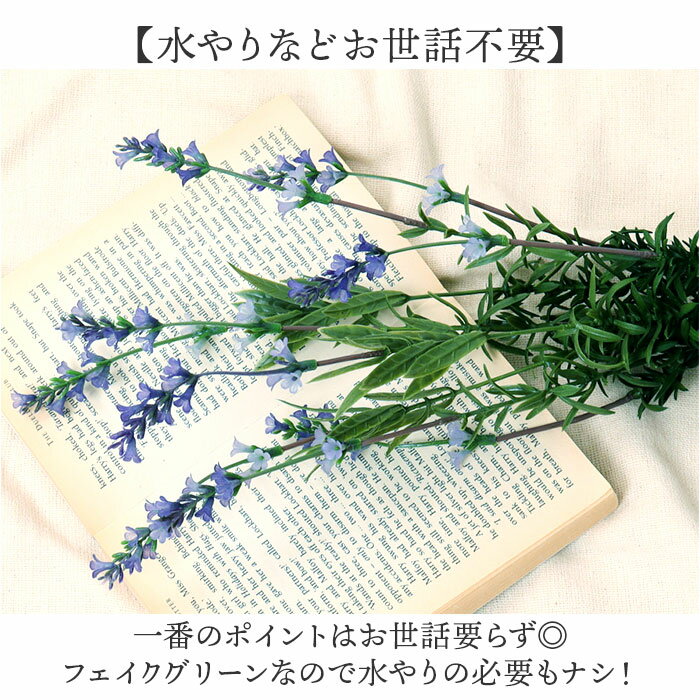 ¤�� �� ��٥���� ���� �����ȥե� �����ƥ��ե�����륰�꡼�� �����ƥ��ե������ե� �ե������ե� �ե��������꡼�� �ֺ� ñ�� ����ƥꥢ ���տ�ʪ �֥å��� �͹����տ�ʪ FB-2437 ��٥�����֥å���S �ݥԡ� YDM