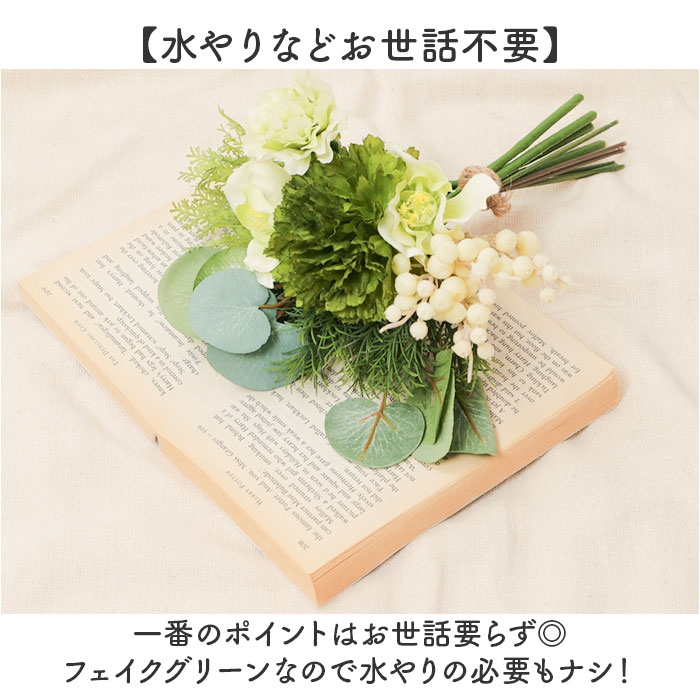 ¤�� ��« ���� �����ƥ��ե�����륰�꡼�� �����ƥ��ե������ե� �� �դä� �����ȥե� �ե������ե� �ե��������꡼�� �ֺ� ����ƥꥢ �͹����տ�ʪ �Х�ɥ� ������� FB-2516 ���꡼��ե��ߥå����Х�ɥ� �ݥԡ� YDM