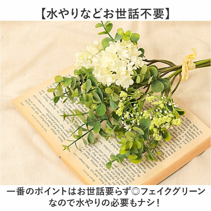 ¤�� ��« ���� �����ƥ��ե�����륰�꡼�� �����ƥ��ե������ե� �� �դä� �����ȥե� �ե������ե� �ե��������꡼�� �ֺ� ����ƥꥢ �͹����տ�ʪ �Х�ɥ� ������� FB-2528 �桼����ե��ߥå����Х�ɥ� �ݥԡ� YDM