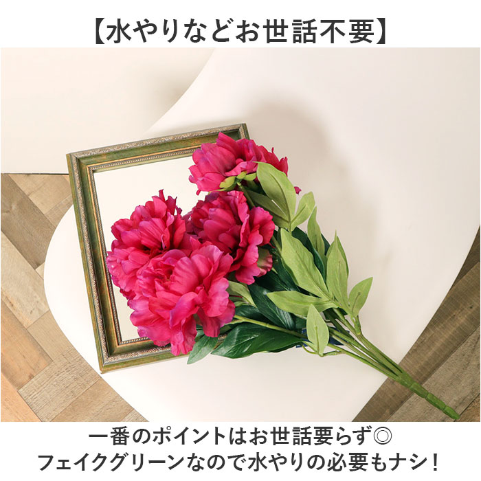 ¤�� �� �ԥ��ˡ� ���� �����ȥե� �����ƥ��ե�����륰�꡼�� �����ƥ��ե������ե� �ե������ե� �ե��������꡼�� �ֺ� ñ�� ����ƥꥢ ���տ�ʪ �֥å��� �͹����տ�ʪ FB-2558 �ԥ��ˡ��֥å��� �ݥԡ� YDM