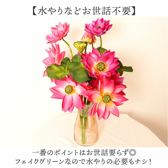 ϡ �� ¤�� ���� �����ƥ��ե������ե� �Ϥ��β� ϡ�β� �����ƥ��ե�����륰�꡼�� �����ȥե� �ե������ե� �ե��������꡼�� ����ƥꥢ ���տ�ʪ �֥å��� �͹����տ�ʪ FB-2598 ���������֥å��� �ݥԡ� YDM