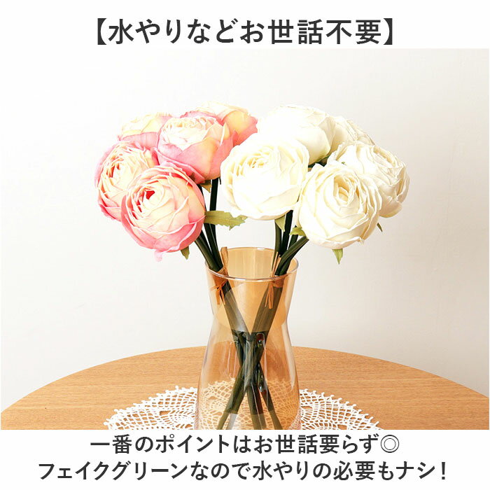 �Х� ��« ¤�� ���� �����ƥ��ե�����륰�꡼�� �����ƥ��ե������ե� �� �� �Ф� �����ȥե� �ե������ե� �ե��������꡼�� �ֺ� ����ƥꥢ �͹����տ�ʪ �Х�ɥ� ������� FB-2627 �ѥե塼��������Х�ɥ� �ݥԡ� YDM