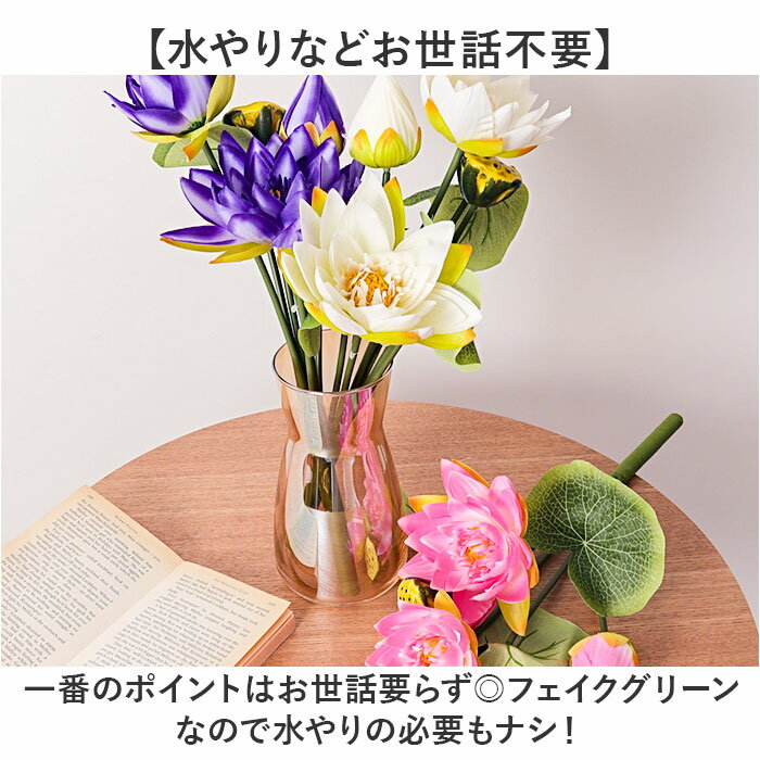 ϡ �� ¤�� ���� �����ƥ��ե������ե� �Ϥ��β� ϡ�β� �����ƥ��ե�����륰�꡼�� �����ȥե� �ե������ե� �ե��������꡼�� ����ƥꥢ ���տ�ʪ �֥å��� �͹����տ�ʪ FB-2628 ���������֥å��� �ݥԡ� YDM