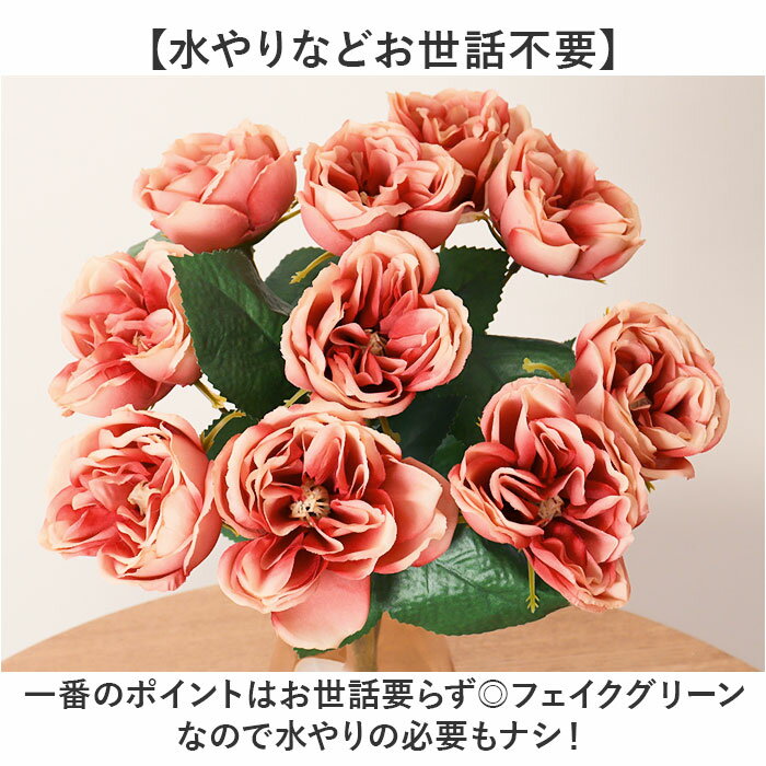 ¤�� �� �Х� ���� �����ȥե� �����ƥ��ե�����륰�꡼�� �����ƥ��ե������ե� �ե������ե� �ե��������꡼�� �ֺ� ñ�� ����ƥꥢ ���տ�ʪ �֥å��� �͹����տ�ʪ FB-2645 �����ǥ�������֥å��� �ݥԡ� YDM