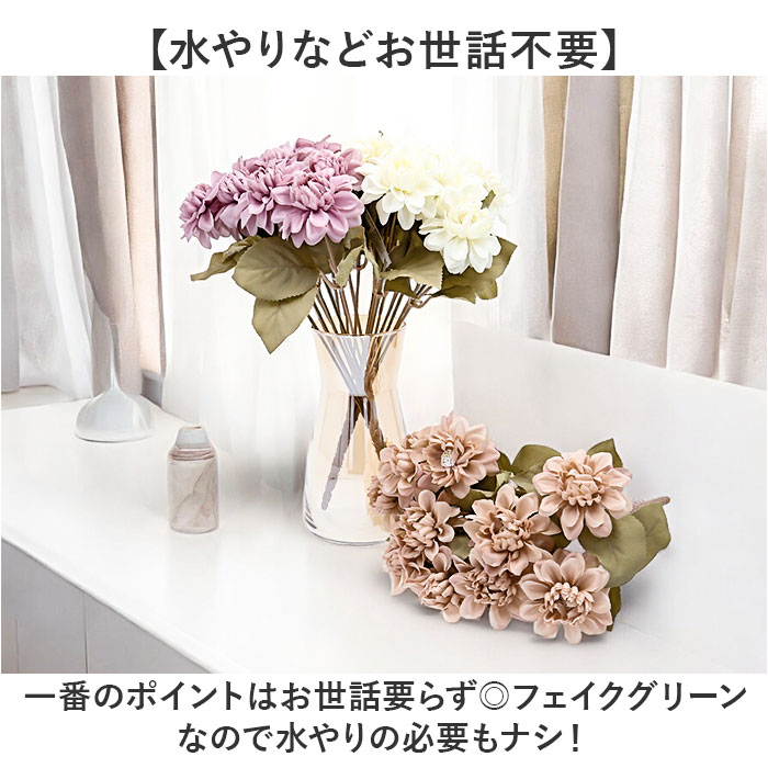 ¤�� �� ���ꥢ ���� �����ȥե� �����ƥ��ե�����륰�꡼�� �����ƥ��ե������ե� �ե������ե� �ե��������꡼�� �ֺ� ñ�� ����ƥꥢ ���տ�ʪ �֥å��� �͹����տ�ʪ FB-2646 �ɥ饤���ꥢ�֥å��� �ݥԡ� YDM