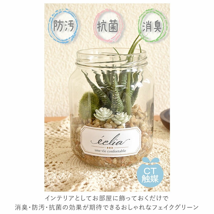 ���տ�ʪ �ե��������꡼�� ���� �ý������ƥ��ե�����륰�꡼�� CT���� ������� ������ ECLIA �����ꥢ ����ƥꥢ���꡼�� �饦��ɥݥå� ����˥����� ����ƥꥢ �͹���ʪ �Ϥ�ʤ� ����ѥ��� ��� �ǥ��� �� ���� ��Ȣ �����ǥ� ¤��