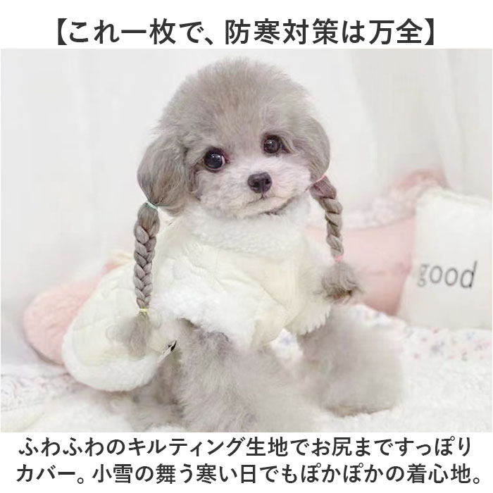 �ɥå������� �� ���� �������� ���� µ�ʤ� �ڥå��� �ϡ��ͥ����� ����դ� ������ ���ԡ��� �ϡ��ͥ����ԡ��� ���襤�� �İ��� ������� �夻�䤹�� �Ȥ��� �����к� ǭ�� ���гݤ� ���� �ڥåȥ��å� �ڥå����� ������ ���ե�