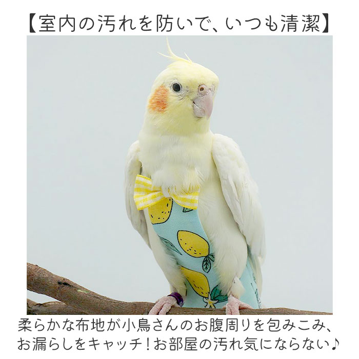 Ļ���� ���� �ۤ���� �ۥ���� Ļ�ѥ���� Ļ�Ѥ���� �����ä��ѥå� ���� ���� Ļ �ե饤�Ȳ�ǽ ������ �������� Ĵ���ǽ ��æ��ñ �İ��� ���襤�� ������� ���гݤ��� Ļ�� �� �ڥå����� ���гݤ� ���� ������ ʸĻ ���ʥꥢ