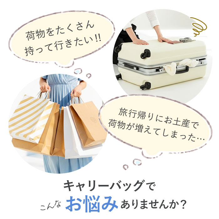 Lee リー キャリーバッグ 320-9041 定番 キャリーケース 約 52L- 60L キャリーバック スーツケース トランク 旅行バッグ 旅行カバン おしゃれ レディース メンズ バッグ バック レディースバッグ メンズバッグ ブランド かばん オシャレ lucky13-10242280 BACKYARD FAMILY 雑貨タウン サンプル画像2