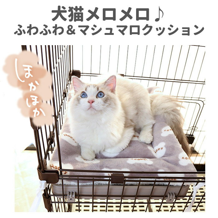 サンプル画像2