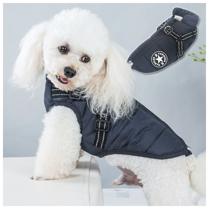 �ϡ��ͥ� �� ���� ������ ƹ�� �ɥå������� �淿�� �ϡ��ͥ��꡼�� ������ �� ���� ���� ���� �İ��� ���襤�� ������� �ڥåȥ��å� �ڥå�����