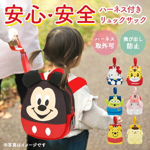 赤ちゃん リュック ハーネス 定番 ベビーリュック 子供用 子ども キッズ 安全ベルト 迷子紐 迷子ひも スウェット やわらか 名札 ネームタグ ディズニー サンリオ キャラクター かわいい リュックサック SKATER スケーター RNHD1