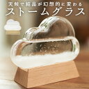 ストームグラス クラウド 定番 天気 気象計 ガラス 雑貨 おしゃれ サイエンス 科学 結晶 ディスプレイ小物 Fun Science 333-274 オブジェ...