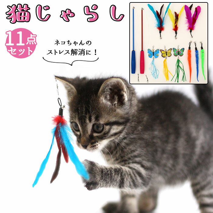 ねこじゃらし 猫用品 定番 猫おもちゃ ネコじゃらし 猫じゃらし 猫オモチャ 猫用おもちゃ 羽 猫じゃらしセット ねこ おしゃれ かわいい 玩具 猫 おもちゃ 猫用 ネコ ペット グッズ ペット用品