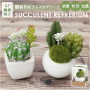 多肉植物 サボテン フェイク 定番 消臭アーティフィシャルグリーン CT触媒 おしゃれ 小さい サキュレントリフレリウム インテリアグリーン 寄せ植え ポット フェイクグリーン インテリア 人工植物 枯れない コンパクト 卓上 デスク 机 玄関 靴箱 雑貨 造花 KH-6098