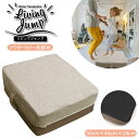 トランポリン クッション 定番 エクササイズ 大人用 子供 リビング リビングジャンプ トレーニング ...