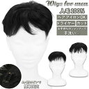 男性用 ウィッグ 定番 かつら ヘアピース ショート カツラ ナチュラル トップカバー メンズ 短い 短髪 通気性 医療用 人毛 黒 黒髪 手植え