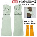 ペット 噛みつき 手袋 定番 ひっかき 防止 ケガ 保護グローブ ペットグローブ 噛みつき防止 しつけ 牛革 鳥 オウム 爬虫類用品 安全 いぬ イヌ 犬用品 ...