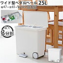 キッチン ゴミ箱 ペダル 25L 定番 低く開く ペダル式ゴミ箱 ごみ箱 スリム 分別 ダストボックス 横型 ヨコ型 おしゃれ 蓋つき ふた付き 分別ゴミ箱 分...