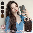 ウィッグ ロング ウェーブ 定番 部分ウィッグ エクステ ウイッグ 付け毛 ポイントウィッグ 部分 黒髪 茶髪 つけ毛 巻き髪 女性 自然 女性用 おしゃれ か...