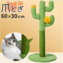 猫 爪とぎ ポール 定番 爪研ぎ つめとぎ キャットタワー 爪とぎポール 爪研ぎポール 麻縄 サイザル麻 サボテン さぼてん ねこ ネコ キャット おもちゃ イ...