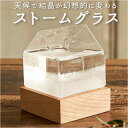 茶谷産業 ストームグラス ハウス 定番 飾り オブジェ 置物 卓上 オーナメント デコレーション 北欧 サイエンス 科学 家 おしゃれ かわいい ギフト 贈り物...