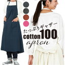 エプロン おしゃれ 大人 定番 カフェエプロン ギャザーエプロン ロングエプロン ワンピースエプロン switch ホルターネック 保育士 レディース きれいめ...