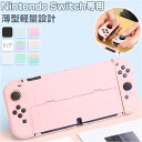 NINTENDO Switch ケース 定番 スイッチカ