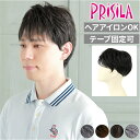 プリシラ 部分ウィッグ 男性 ウィッグ ショート GB-23 定番 五分ウィッグ 部分かつら ヘアピース カバーピース メンズウィッグ かつら ウイッグ ポイントウィッグ つけ毛 ボリュームショート ボリューム 5分 白髪 男性用 メンズ 簡単 通気性