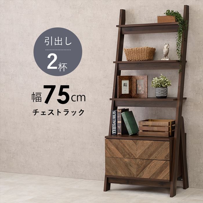 チェスト 2段 脚付き 定番 キャビネット チェストラック RCH-1093BR 壁面収納 棚 壁面 ...