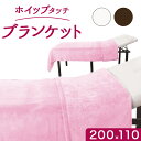 タオルケット シングル 好評 W110×D200cm CKL ホイップタッチ ブランケット タオルブランケット 毛布 寝具 大判 エステサロン サロン 大きめ ...