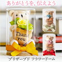 プリザーブドフラワー かわいい 定番 プリザードフラワー フラワーアレンジメント リトルベア フラワーギフト お花 花 くま 熊 フラワー 造花 お返し ギフト...
