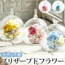プリザーブドフラワー ガラスドーム 定番 プリザードフラワー ブリザードフラワー フラワーアレンジメント ギフト 結婚祝い 誕生日 母の日 お花 記念日 花器付...