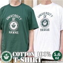 半袖 tシャツ メンズ 定番 クルーネック 丸首 ティーシャツ Tシャツ 半袖Tシャツ カットソー カレッジロゴ レディース HAWAII ハワイ トップス カジュアル シンプル おしゃれ かっこいい オシャレ アメリカンカレッジ アメカジ HWAG-006