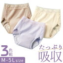 吸水ショーツ 尿漏れ レディース 定番 ショーツ 下着 パンツ 爽やかたっぷり吸収ショーツ 3色組 尿漏れパンツ 尿もれパンツ 3枚セット 吸汗速乾 旅行 吸収...