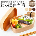 弁当箱 わっぱ 胴長型 定番 わっぱ弁当 一段 お弁当箱 女性 曲げわっぱ まげわっぱ ランチ レディース 学生 弁当 500ml 漆塗り 白木 赤身 ランチボ...