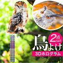 鳥よけグッズ 定番 フクロウ型鳥よけ 2点セット 虫除け 首振りフクロウ 鳥対策グッズ カラス対策 カラス撃退グッズ ハト 鳩よけ 庭 畑 防鳥 害鳥 駆除 寄せ付けない 鳥よけ カラス避けグッズ 鳥避けグッズ 鳩駆除 ふくろう型