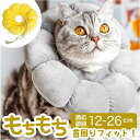 エリザベスカラー ソフト やわらかい 定番 布 猫 犬 エリザベス カラー 術後 傷舐め防止 小型犬 クッション 柔らかい やわらか 女の子 男の子 猫用品 犬...