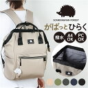 スカンジナビアンフォレスト リュック 251-KESF338 定番 デイパック バックパック リュックサック バッグ 撥水 ファスナー ポケット たくさん SC...