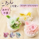 ブリザードフラワ- 定番 お花 花 フラワーギフト フラワーアレンジメント かわいい おしゃれ 結婚祝い 新築祝い 玄関 リビング 洗面所 トイレ フラワー 引...