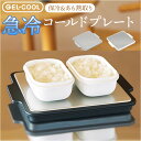 GEL-COOL ジェルクール プレート 保冷 定番 あら熱取りプレート ステンレスプレート あら熱取り 保冷プレート ステンレス のせるだけ 小さめ ミニ 2...