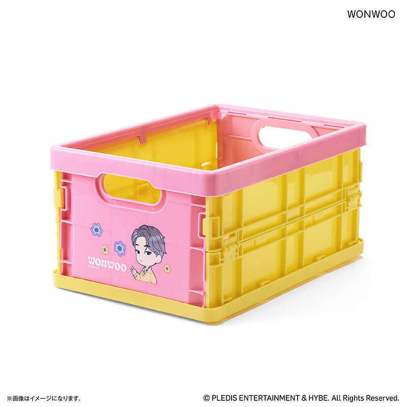 SEVENTEEN グッズ 定番 WONWOO ウォヌ 折りたたみミニコンテナ PetiTEEN セ ...