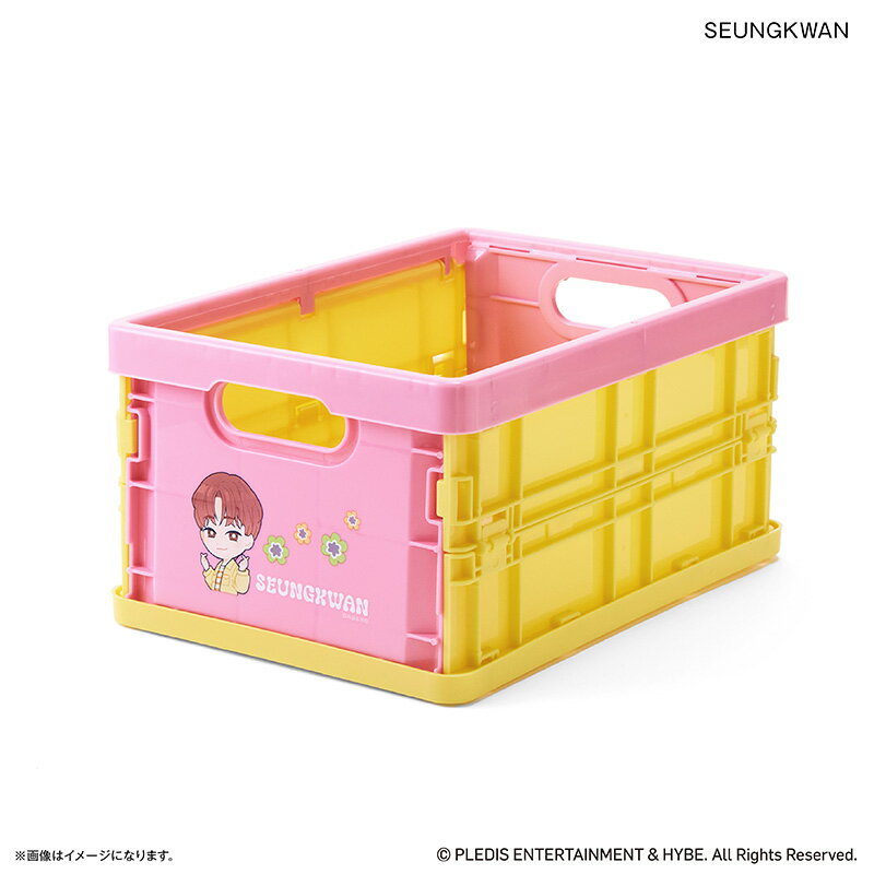 SEVENTEEN グッズ 定番 SEUNGKWAN スングァン 折りたたみミニコンテナ PetiT ...