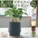 植木鉢 プラスチック 丸型 定番 鉢カバー 鉢 約 5号 SK ステップ 15.5xH15 プランター プラポット プランターカバー 植木 ポット 鉢植え おしゃれ 軽量 軽い 観葉植物 フラワーアレンジメント インテリア リサイクルプラポット かわいい