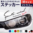 車 ステッカー おしゃれ 定番 車に貼るステッカー 約9.5×25cm Mサイズ カッティングシート 外装 カーアクセサリー アクセサリー クルマ サイド ボン...
