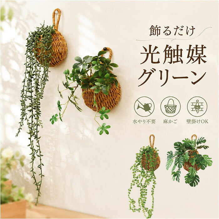 楽天市場】フェイク グリーン カゴの通販