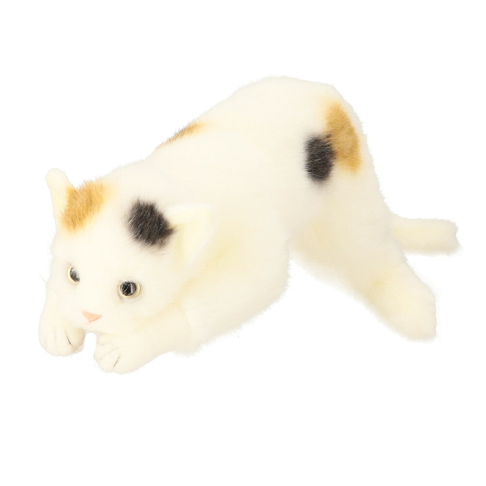 楽天市場】童心 ぬいぐるみ 猫の通販